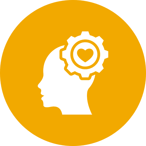 The Functional Emotional Developmental Approach